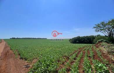 Imagem 3: Área Rural à venda, LINHA GRAMADO, TOLEDO - PR