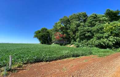 Imagem: A chácara possui 20.000m² de Área e está localizado em