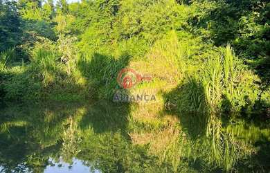 Imagem: A chácara possui 5 Dormitórios, 3 Banheiros e 5000m² de Área