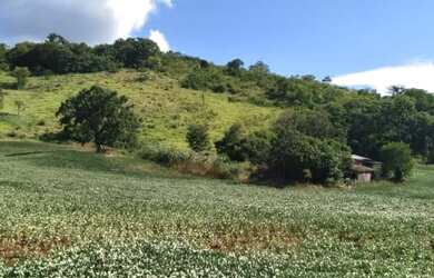 Imagem: A chácara possui 193.600m² de Área e está localizado em