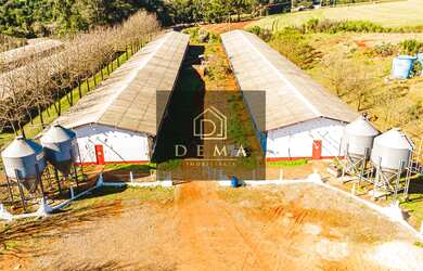 Imagem 15: Chácara à venda, ÁREA RURAL, TOLEDO - PR