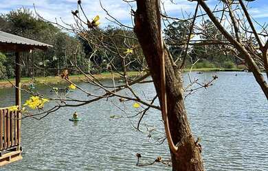 Imagem 2: Chácara à venda, 6 KM DA CIDADE, CAFELANDIA - PR