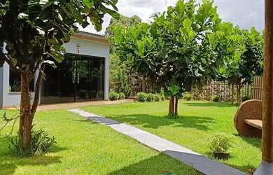 Imagem 4: Chácara à venda, 6 KM DA CIDADE, CAFELANDIA - PR