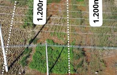 Imagem: O terreno e está localizado em Santa Cruz, Capanema à venda