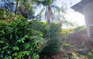 Imagem 2: Terreno à venda, Nova Alemanha, ALTO FELIZ - RS