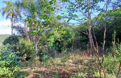 Imagem 1: Terreno à venda, Nova Alemanha, ALTO FELIZ - RS