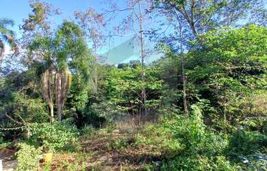 Imagem 3: Terreno à venda, Nova Alemanha, ALTO FELIZ - RS