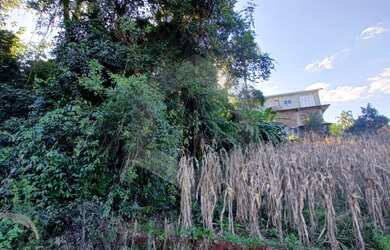 Imagem 6: Terreno à venda, Nova Alemanha, ALTO FELIZ - RS