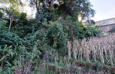 Imagem 9: Terreno à venda, Nova Alemanha, ALTO FELIZ - RS