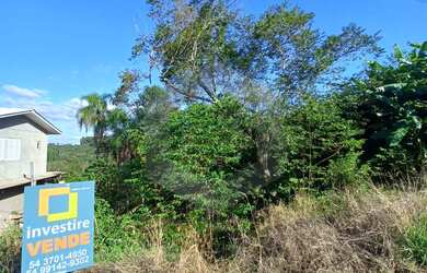 Imagem 4: Terreno à venda, Nova Alemanha, ALTO FELIZ - RS