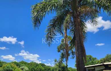 Imagem: Chácara com 3 dormitórios à venda, ZONA RURAL, IBEMA - PR