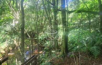 Imagem 2: Chácara à venda, CASCAVEL VELHO, CASCAVEL - PR Chácara com 2.000 de...