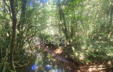 Imagem 3: Chácara à venda, CASCAVEL VELHO, CASCAVEL - PR Chácara com 2.000 de...