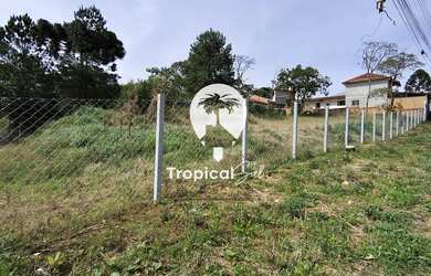 Imagem 3: Terreno à venda, Lamenha Grande, ALMIRANTE TAMANDARE - PR