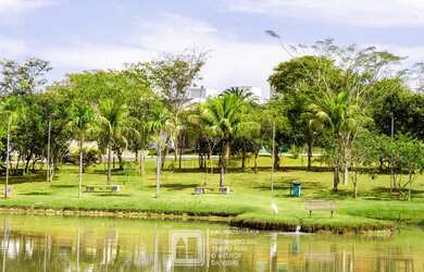 Imagem 10: na Avenida 1 1. 