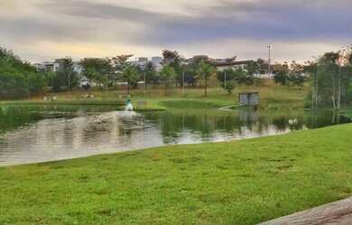 Imagem 15: na Avenida 1 1. 