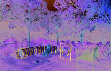 Imagem 13: Cobertura à venda em São Paulo, Jardim América, com 4 quartos, 276,64m²