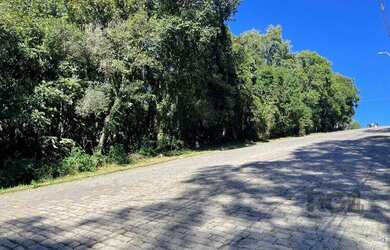 Imagem: O terreno possui 360m² de Área e está localizado em Santa