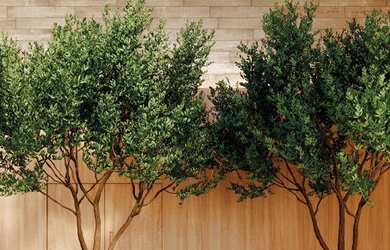 Imagem 3: Gaia Ibirapuera - Residencial - Gaia Ibirapuera - Residencial