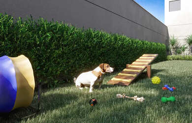 Imagem 9: Nik Sunset Paulista - NR