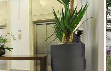 Imagem 2: Apartamento à venda no bairro Chácara Inglesa - São Paulo/SP