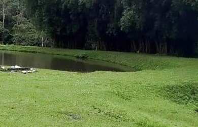 Imagem: A fazenda está localizado em Embu, Embu-Guacu à venda por