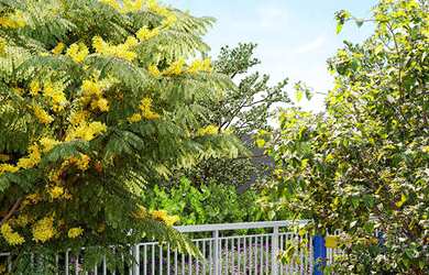 Imagem 16: APARTAMENTO RESIDENCIAL em São Paulo - SP, Campo Belo