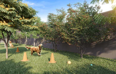 Imagem 10: APARTAMENTO RESIDENCIAL em São Paulo - SP, Vila Palmeiras