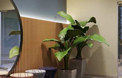 Imagem 4: Aplauso Jabaquara - Fase 2 - Aplauso Jabaquara - Fase 2