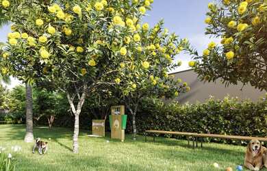 Imagem 16: APARTAMENTO RESIDENCIAL em São Paulo - SP, Butantã