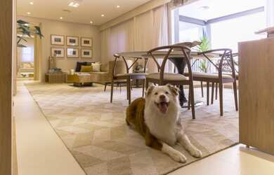 Imagem 7: Apartamento Padrão, 3 dormitórios na Rua Doutor Luiz Migliano