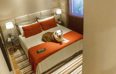 Imagem 9: Apartamento Padrão, 3 dormitórios na Rua Doutor Luiz Migliano