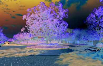 Imagem 2: Claris Casa & Clube - Fase 1