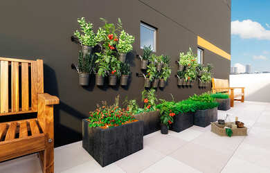 Imagem 15: Apartamento à venda no bairro Freguesia do Ó - São Paulo/SP