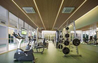 Imagem 12: Biotique Ibirapuera - Biotique Ibirapuera