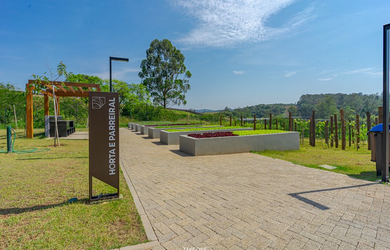 Imagem 6: Na Avenida José Mezzalira