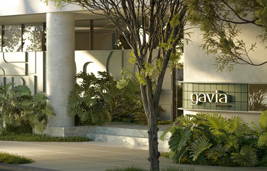 Imagem 7: Gavia Moema - Breve Lançamento - Gavia Moema