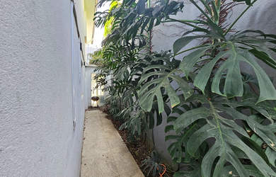 Imagem 10: 2 dormitórios na Rua Andréa Paulinetti