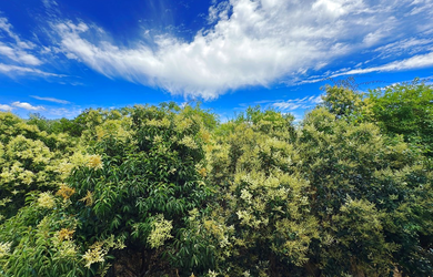 Imagem 10: Apartamento à venda em Porto Alegre-RS, bairro Aberta dos Morros, 3 quartos, 1 banheiro, 1