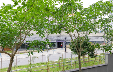 Imagem 9: CBGD 48 Apto 601241033-115