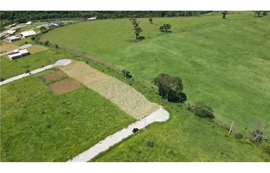 Imagem 16: Terreno à venda em Joanópolis, Centro, 1000m²