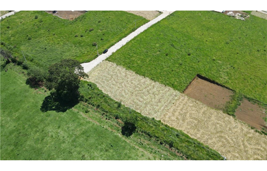 Imagem 12: Terreno à venda em Joanópolis, Centro, 1000m²