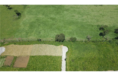 Imagem 10: Terreno à venda em Joanópolis, Centro, 1000m²