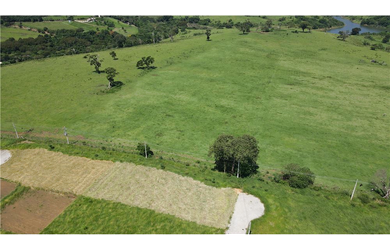 Imagem 9: Terreno à venda em Joanópolis, Centro, 1000m²