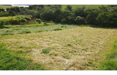 Imagem 8: Terreno à venda em Joanópolis, Centro, 1000m²