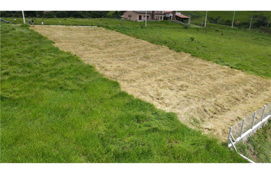 Imagem 16: Terreno à venda em Joanópolis, Centro, 1000m²