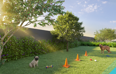 Imagem 12: 2 dormitórios na Rua Marina Ciufuli Zanfelice