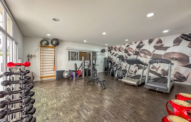 Imagem 13: 3 dormitórios na Rua Pedrália