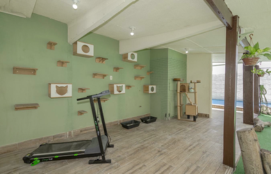 Imagem 13: Casa à venda em Porto Alegre, Jardim Sabará, com 3 quartos, 250m²