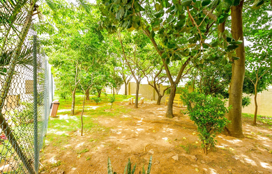 Imagem 14: APARTAMENTO RESIDENCIAL em Jundiaí - SP, Medeiros